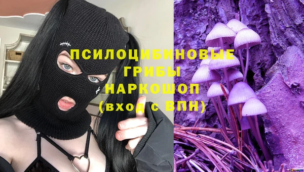 гашик Аркадак
