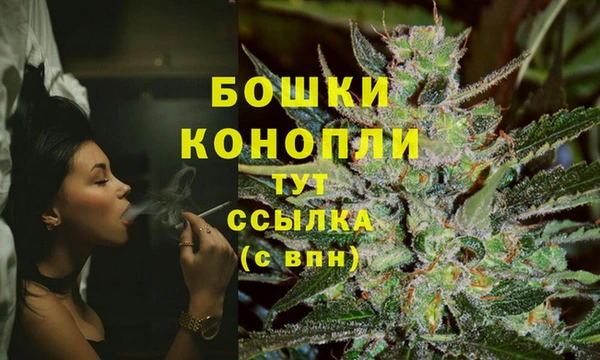 гашик Аркадак