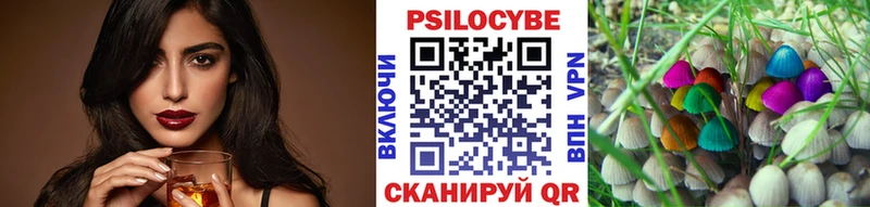 Купить закладки  Тара  Галлюциногенные грибы прущие грибы 